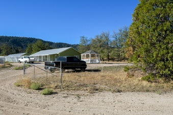 Enlarge photo 81