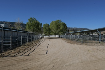 Enlarge photo 23