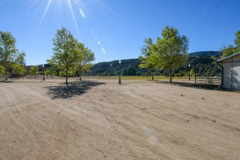 Enlarge photo 29