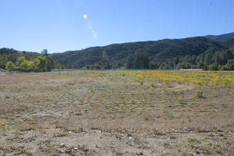 Enlarge photo 30