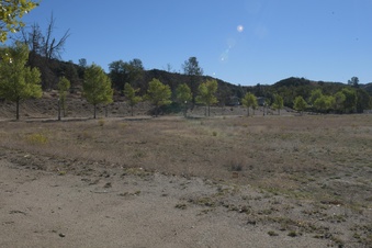 Enlarge photo 31