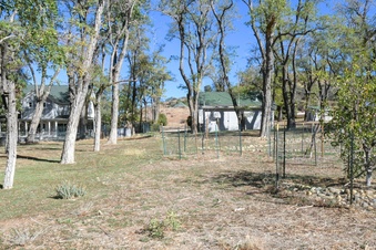 Enlarge photo 103