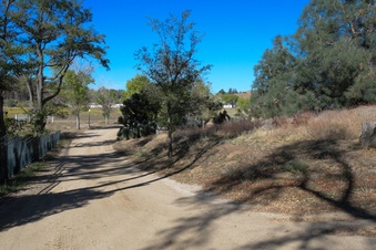 Enlarge photo 113