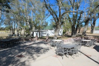 Enlarge photo 116