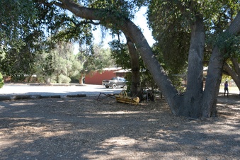 Enlarge photo 12