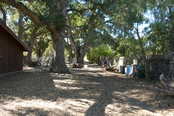 Enlarge photo 15