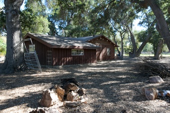 Enlarge photo 16
