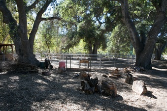 Enlarge photo 17