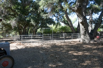 Enlarge photo 18