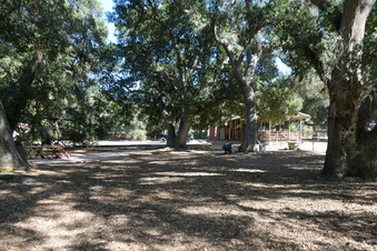Enlarge photo 19