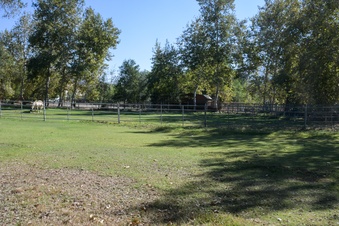 Enlarge photo 23