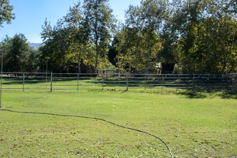 Enlarge photo 24