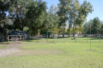 Enlarge photo 25