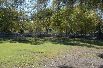 Enlarge photo 26
