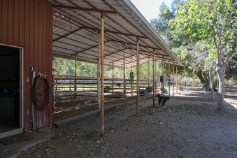 Enlarge photo 28