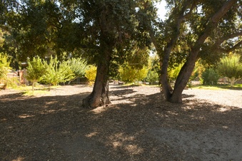 Enlarge photo 33