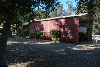 Enlarge photo 34