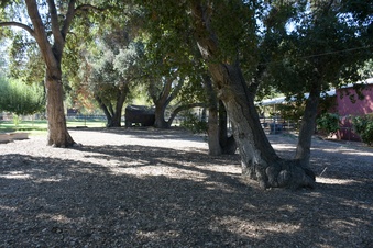 Enlarge photo 35