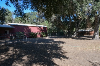Enlarge photo 37