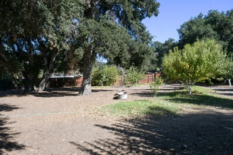 Enlarge photo 38