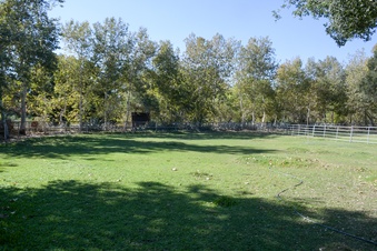 Enlarge photo 39