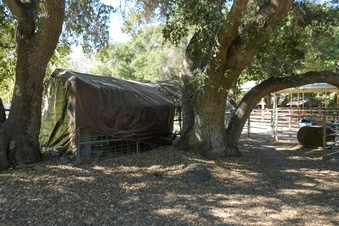 Enlarge photo 41