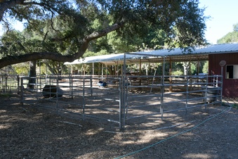 Enlarge photo 42