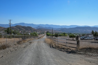 Enlarge photo 127