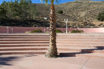 Enlarge photo 71
