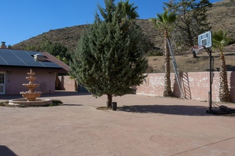Enlarge photo 63