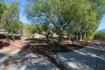 Enlarge photo 59