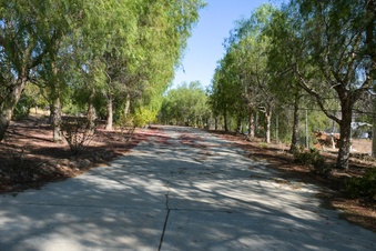 Enlarge photo 57