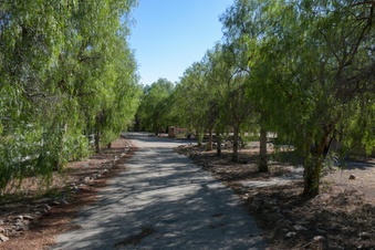 Enlarge photo 56