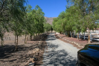 Enlarge photo 54