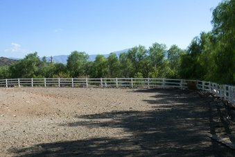 Enlarge photo 51