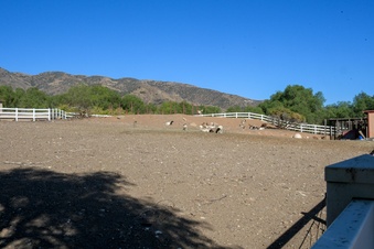 Enlarge photo 50