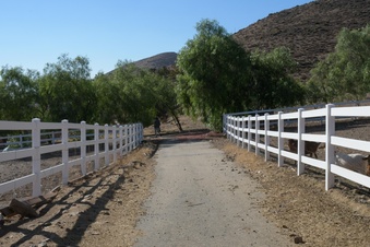 Enlarge photo 49