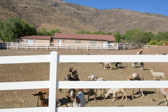 Enlarge photo 48