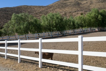 Enlarge photo 47