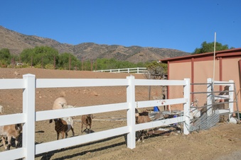 Enlarge photo 46