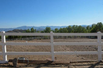 Enlarge photo 45