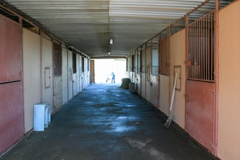 Enlarge photo 42