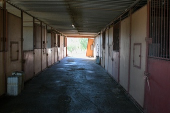 Enlarge photo 41