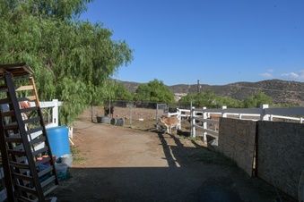 Enlarge photo 38