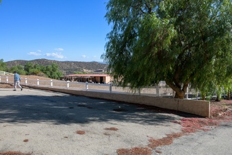 Enlarge photo 37