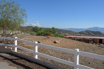 Enlarge photo 29