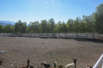 Enlarge photo 28