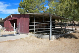 Enlarge photo 21
