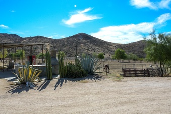 Enlarge photo 38