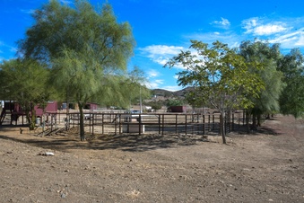 Enlarge photo 46